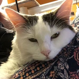 Meet your Posher, Ariana